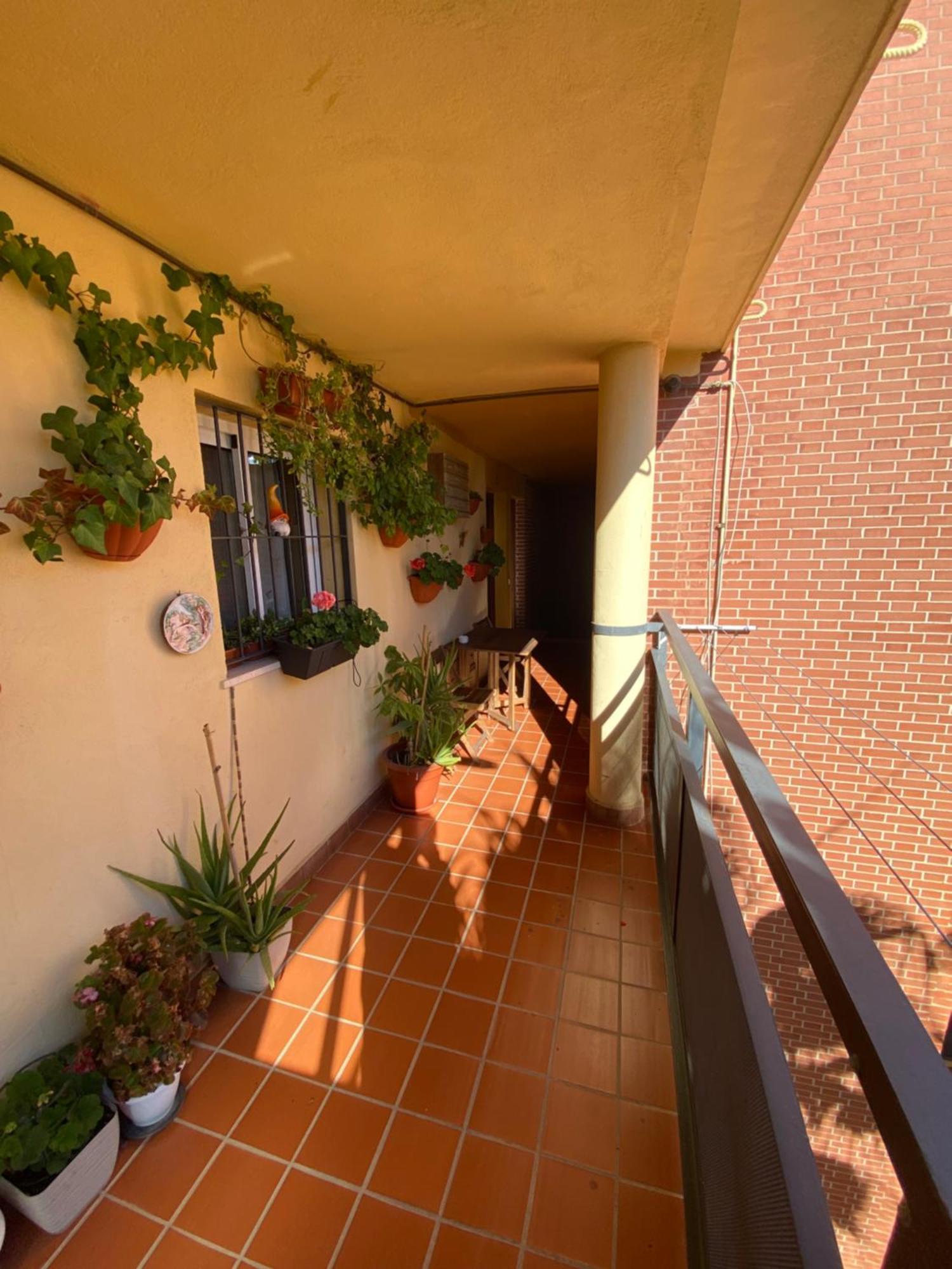 Apartamento Arroyo De La Miel Costa Del Sol Apartment Benalmadena Ngoại thất bức ảnh